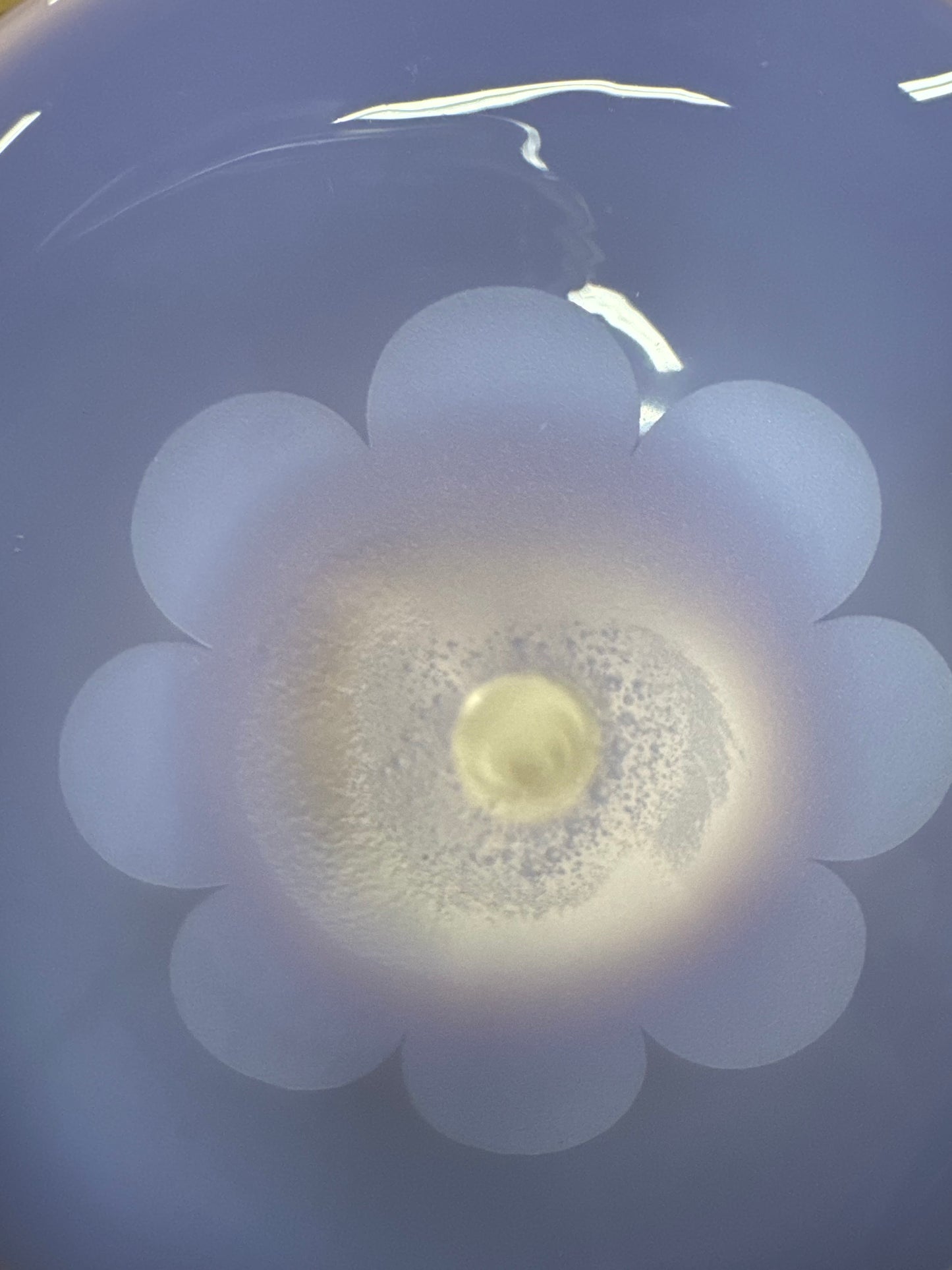 Ninety-Nine Collection #36: ROOR Tech Fixed 10" Beaker