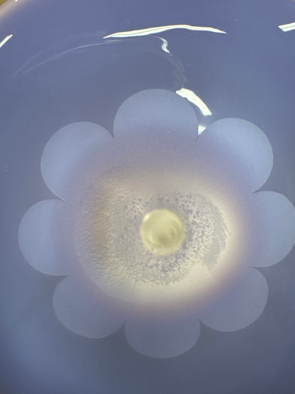 Ninety-Nine Collection #36: ROOR Tech Fixed 10" Beaker