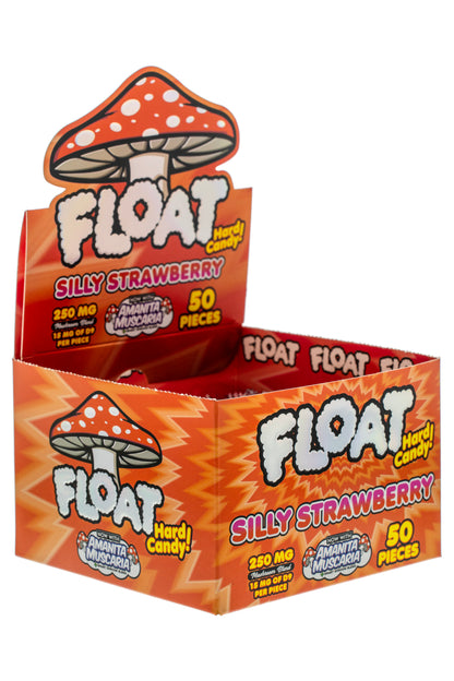 FLOAT Silly Strawberry hard candies display box for wholesale retailers, view 5